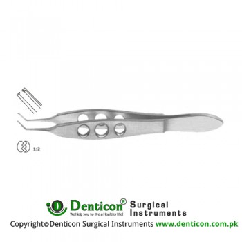 Hoffer-McPherson Tissue Forcep Very Delicate 1 x 2 Teeth Stainless Steel, 10 cm - 4" Jaw Length - Tip Size 11 mm - 0.12 mm